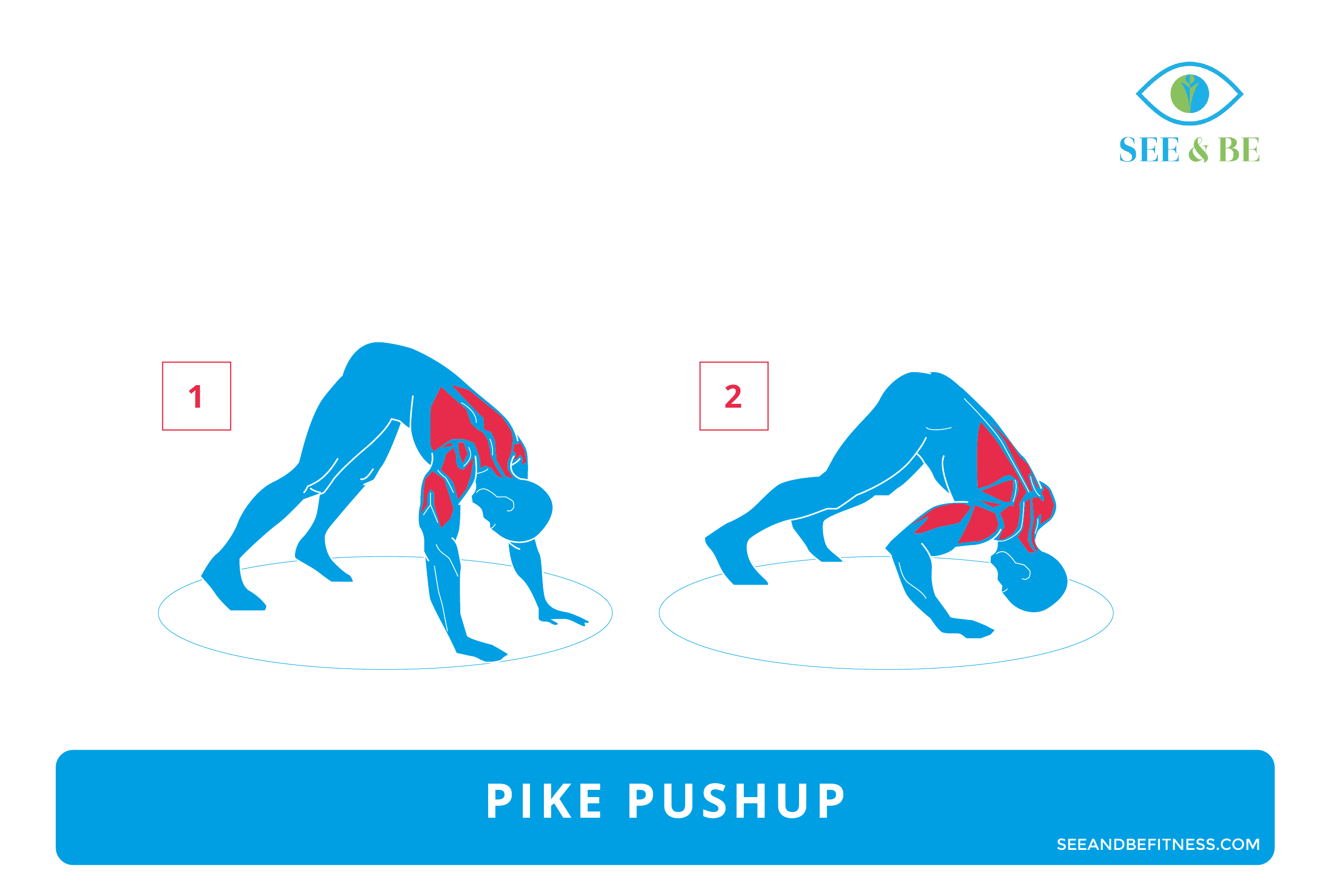 Pike push deals up muscles worked